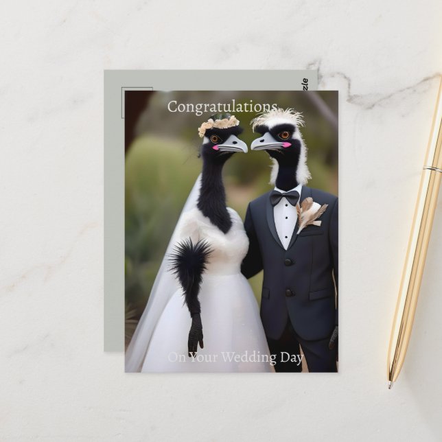 Aussie Wedding Australian Emus, Wedding Postcard (Front/Back In Situ)
