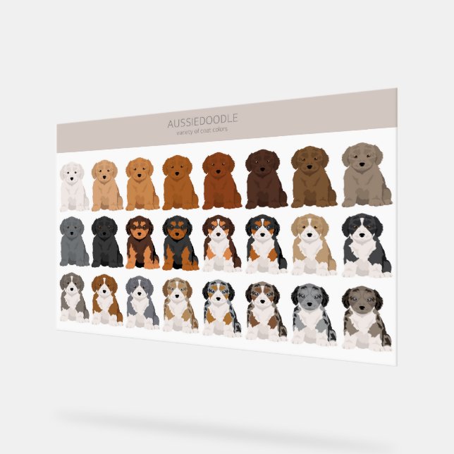 Aussiedoodle dog mix acrylic sign (Angle)