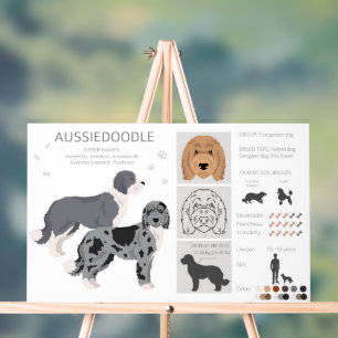 Aussiedoodle dog mix acrylic sign