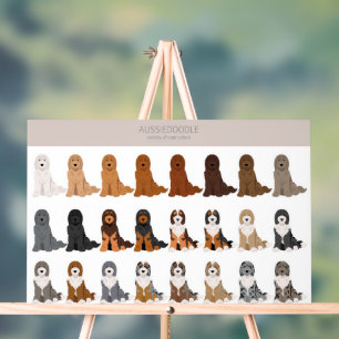 Aussiedoodle dog mix acrylic sign