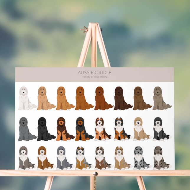 Aussiedoodle dog mix acrylic sign (Neutral)