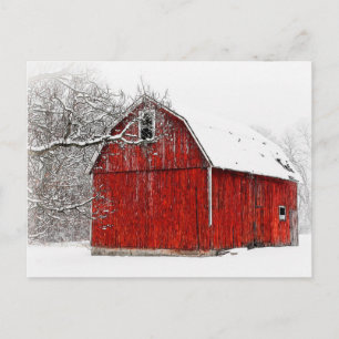 Austere and Bare Winter Red Barn Postcard