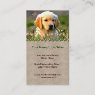 Austin Golden Labrador Puppy Business Card