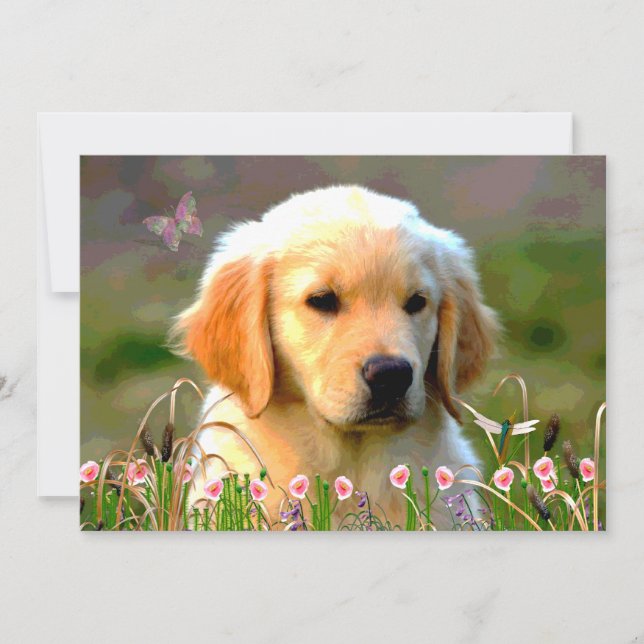 Austin Golden Labrador Puppy Invitation (Front)