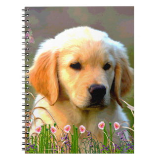 Austin Golden Labrador Puppy Notebook