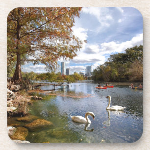 Austin, Texas Barton Creek / Ladybird Lake Swans Coaster