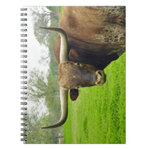 Austin Texas Longhorn Cow Photograph notebook