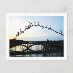 Austin Texas Postcard