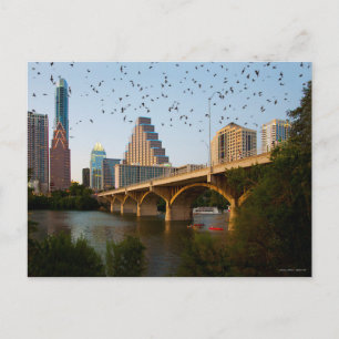 Austin, Texas with Bats Postcard