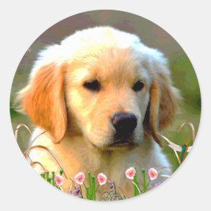 Austin The Golden Labrador Classic Round Sticker