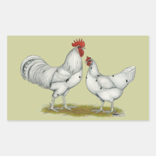 Austra White Chickens Rectangular Sticker