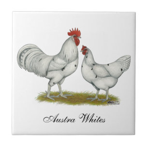 Austra White Chickens Tile