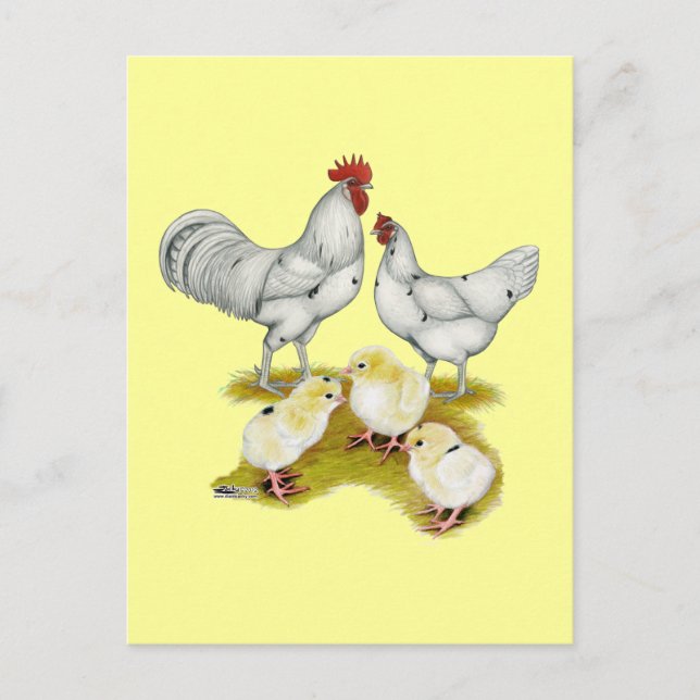 Austra White Family Postcard (Front)