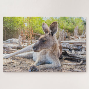 Austrailian Kangaroo Resting Jigsaw Puzzle