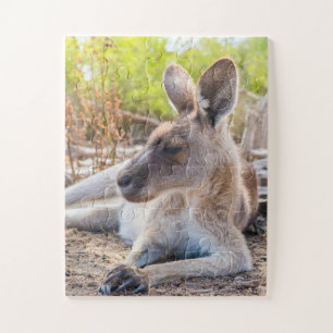 Austrailian KangarooLaying Down Resting Jigsaw Puzzle