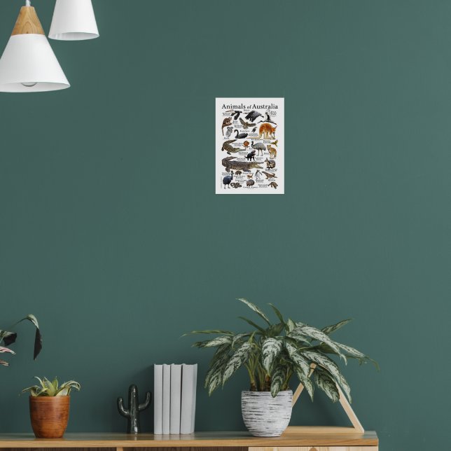 Australia Animals Chart (Living Room 1)