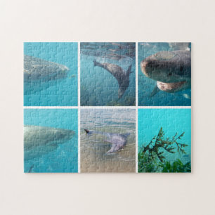 Australia Animals Underwater Photo Collage Kids Jigsaw Puzzle