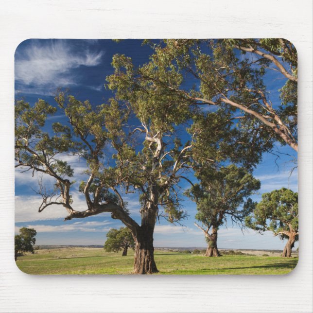 Australia, Barossa Valley, Mount Pleasant Mouse Mat (Front)
