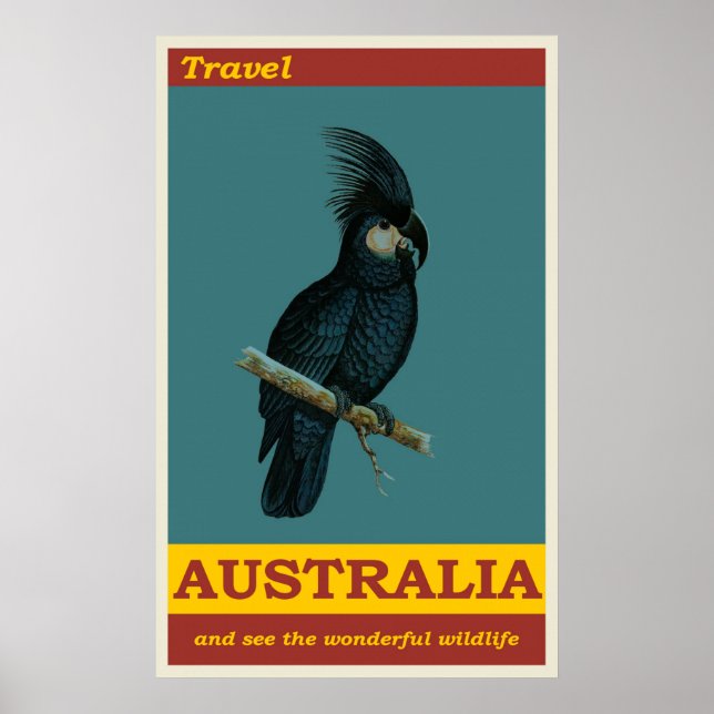 Australia Black Cockatoo Bird Vintage Travel Poster (Front)