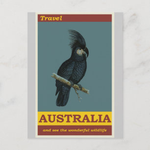 Australia Cockatoo Vintage Travel Poster Postcard