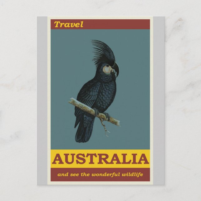 Australia Cockatoo Vintage Travel Poster Postcard (Front)