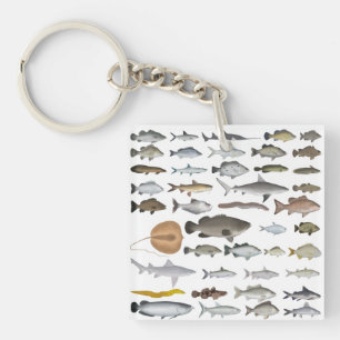 Australia Freshwater Fish Group Key Ring