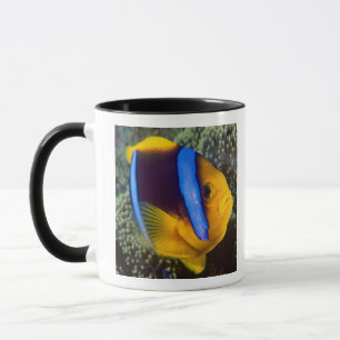 Australia, Great Barrier Reef, Anemonefish Mug