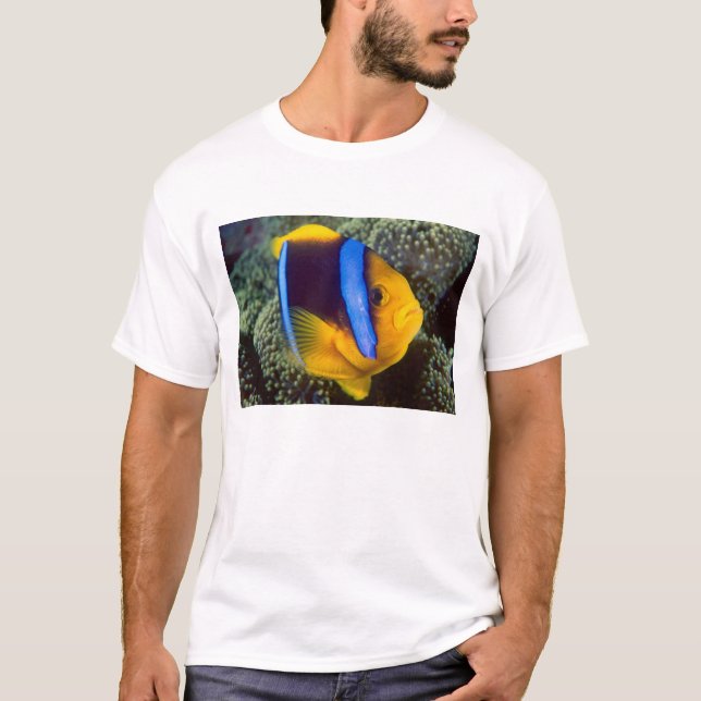 Australia, Great Barrier Reef, Anemonefish T-Shirt (Front)