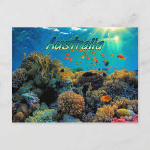 Australia Great Barrier Reef stylised Postcard
