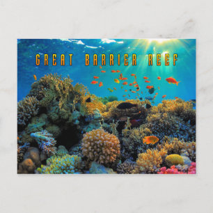 Australia Great Barrier Reef stylised Postcard
