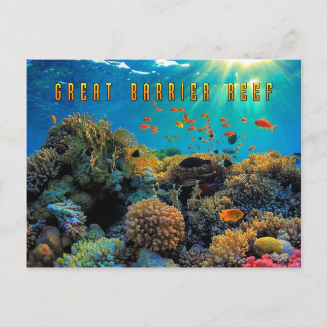 Australia Great Barrier Reef stylised Postcard (Front)