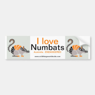 Australia - I love NUMBATS  -Wildlife - Nature Bumper Sticker