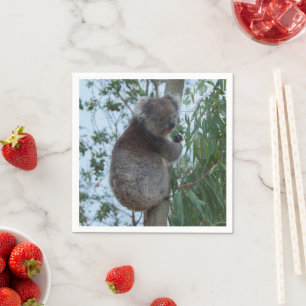 Australia Kangaroo Island Cute Koala in a Tree Napkin