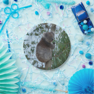 Australia Kangaroo Island Cute Koala in a Tree Paper Plate
