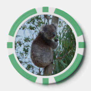 Australia Kangaroo Island Koala in a Tree Poker Chips