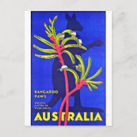 Australia, kangaroo paws, Australian wildflowers
