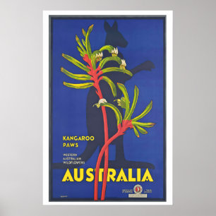 Australia Kangaroo Paws Western Australian Poster