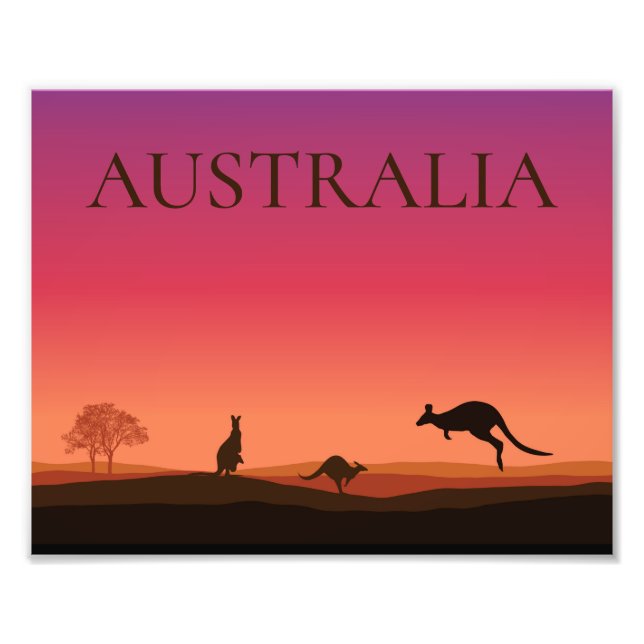 Australia Kangaroos Photo Poster Print (Front)