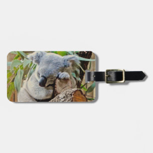 Australia Koala Bear Sleep Luggage Tag