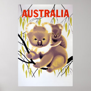 Australia Koala Bear Travel Poster