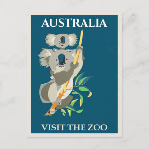 Australia Koala Bear Vintage Travel Poster Postcard