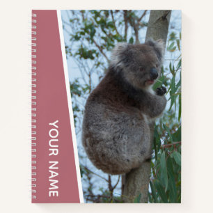 Australia Koala in a Eucalyptus Tree, Rose Gold Notebook