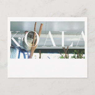 Australia Koala Post Card