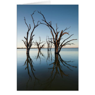 Australia, Murray River Valley, Barmera, Lake