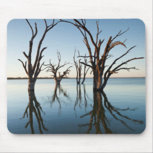 Australia, Murray River Valley, Barmera, Lake Mouse Mat