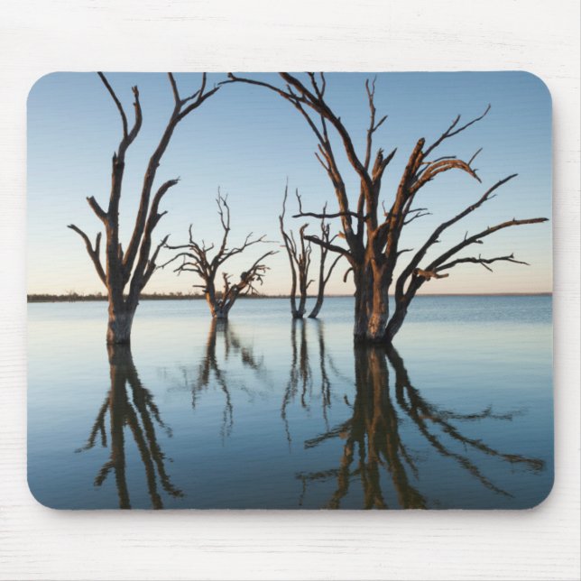Australia, Murray River Valley, Barmera, Lake Mouse Mat (Front)