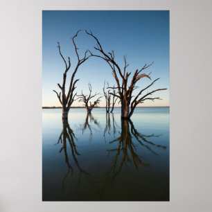 Australia, Murray River Valley, Barmera, Lake Poster