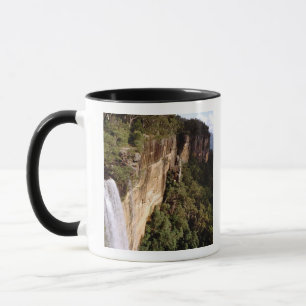 Australia, New South Wales, Fitzroy Falls. Mug