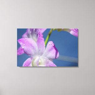 Australia, Northern Territory, Darwin Canvas Print