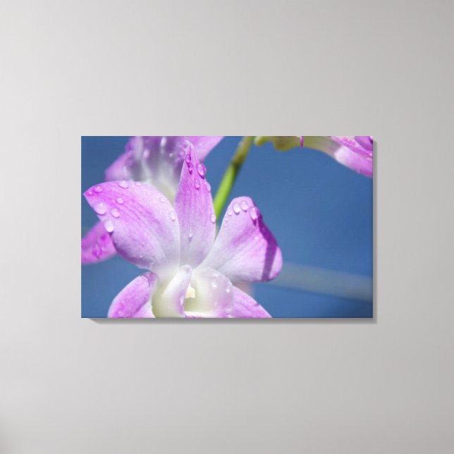 Australia, Northern Territory, Darwin Canvas Print (Front)